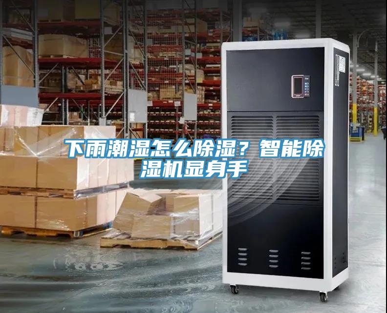 下雨潮濕怎么除濕？智能除濕機(jī)顯身手