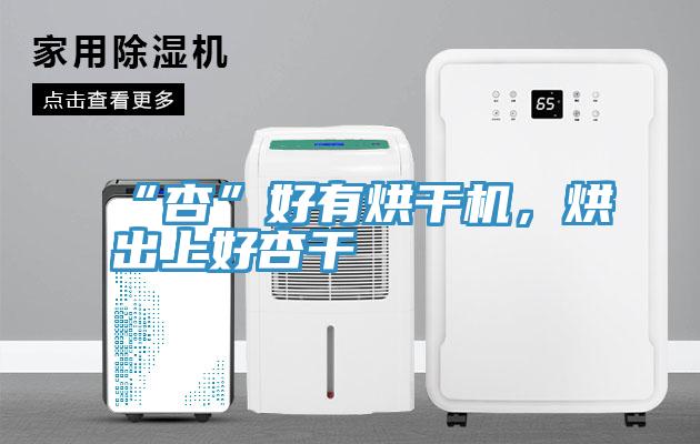 “杏”好有烘干機(jī)，烘出上好杏干