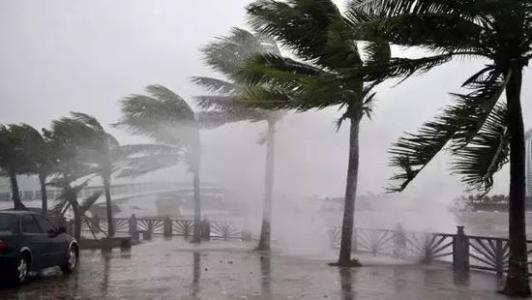 8月臺(tái)風(fēng)雨即將來，除濕機(jī)還得用起來