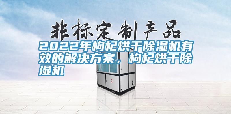 2022年枸杞烘干除濕機有效的解決方案，枸杞烘干除濕機