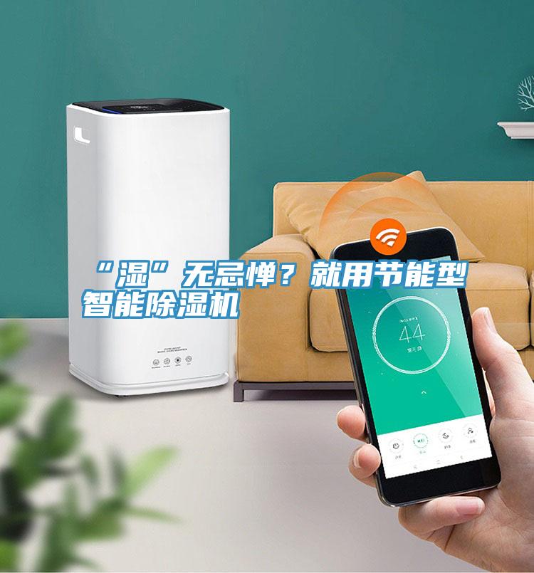 “濕”無忌憚？就用節(jié)能型智能除濕機(jī)