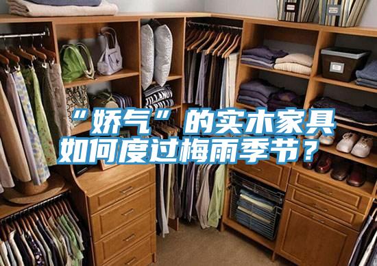 “嬌氣”的實(shí)木家具如何度過梅雨季節(jié)？