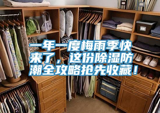 一年一度梅雨季快來了，這份除濕防潮全攻略搶先收藏！