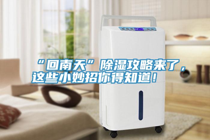 “回南天”除濕攻略來了，這些小妙招你得知道！