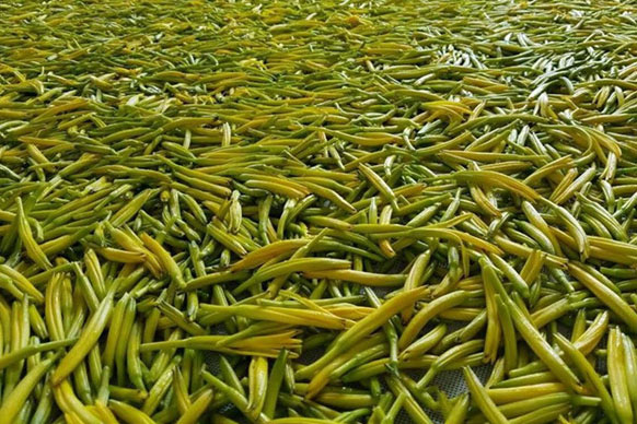 無硫金針菜烘干如何保持品相？不發(fā)黑？_除濕機廠家