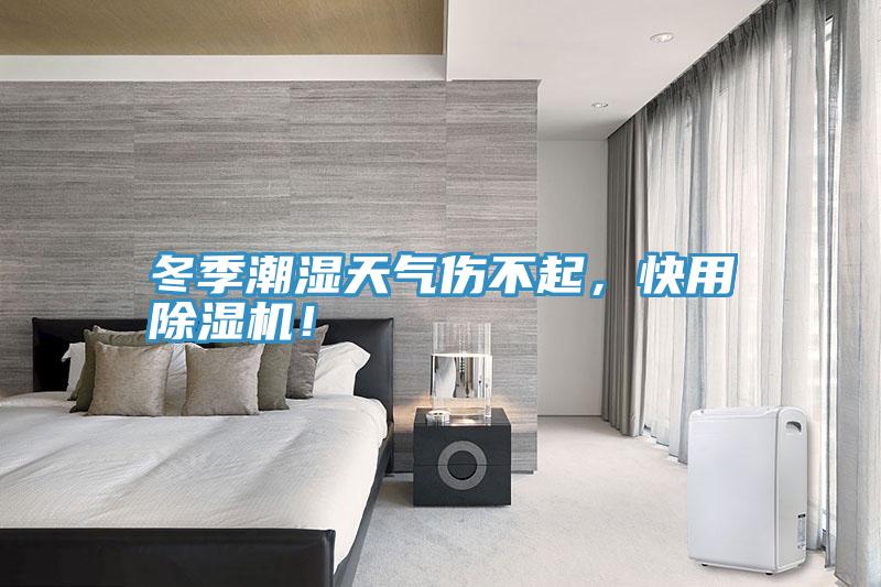 冬季潮濕天氣傷不起，快用除濕機(jī)！