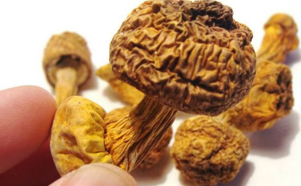 巴西菇、姬松茸烘干機(jī)-怎樣烘干色澤好且菇體褶片完整？
