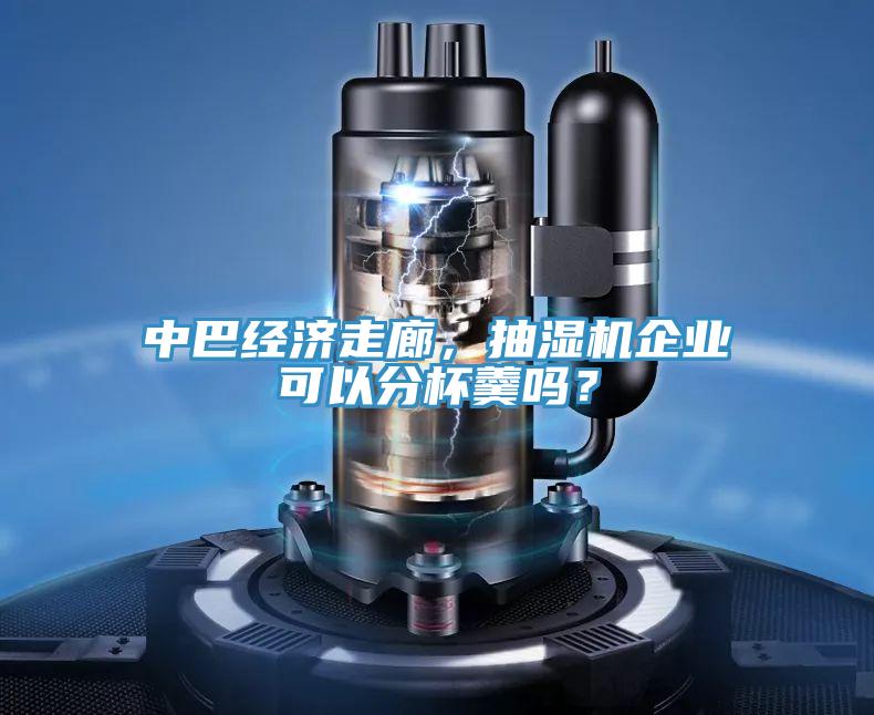 中巴經(jīng)濟(jì)走廊，抽濕機(jī)企業(yè)可以分杯羹嗎？