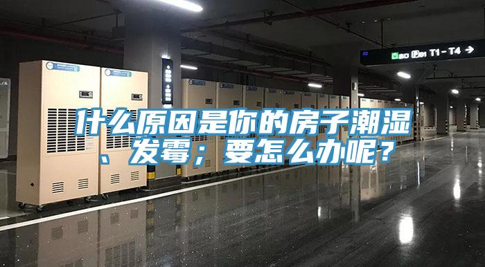 什么原因是你的房子潮濕、發(fā)霉；要怎么辦呢？