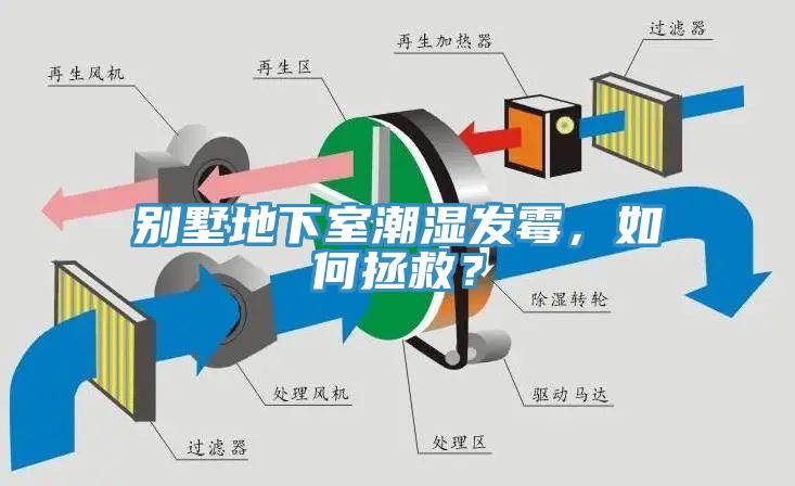 別墅地下室潮濕發(fā)霉，如何拯救？