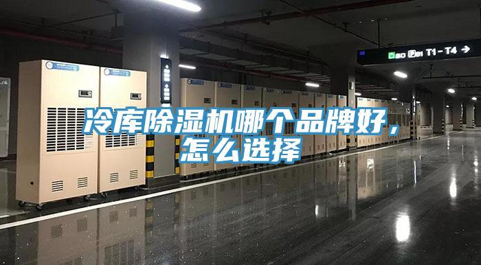 冷庫除濕機哪個品牌好，怎么選擇