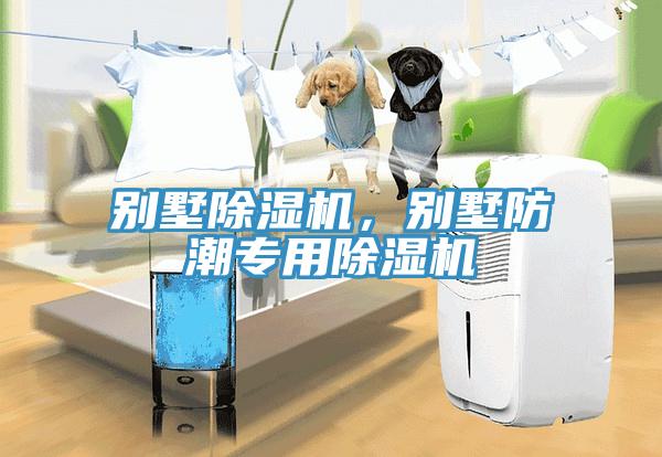 別墅除濕機(jī)，別墅防潮專(zhuān)用除濕機(jī)