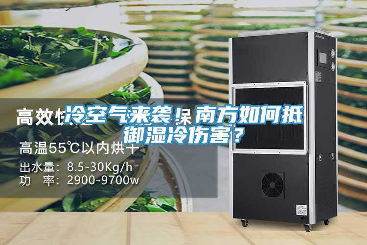 冷空氣來襲！南方如何抵御濕冷傷害？