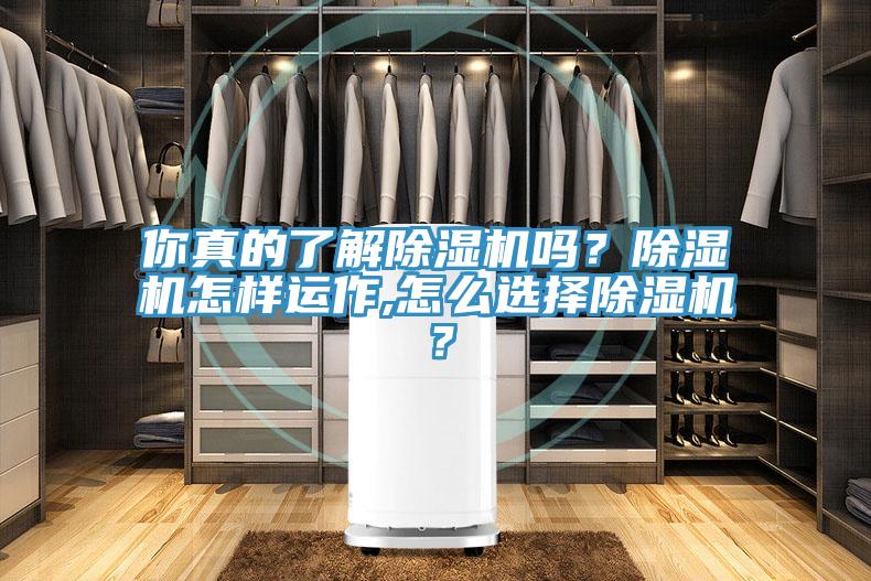 你真的了解除濕機(jī)嗎？除濕機(jī)怎樣運(yùn)作,怎么選擇除濕機(jī)？
