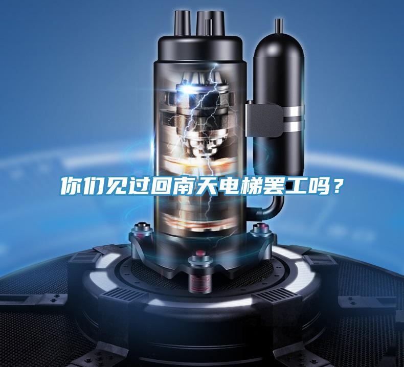 你們見(jiàn)過(guò)回南天電梯罷工嗎？