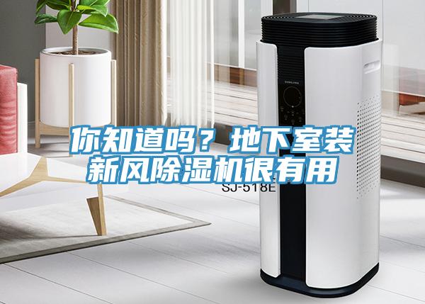 你知道嗎？地下室裝新風(fēng)除濕機(jī)很有用