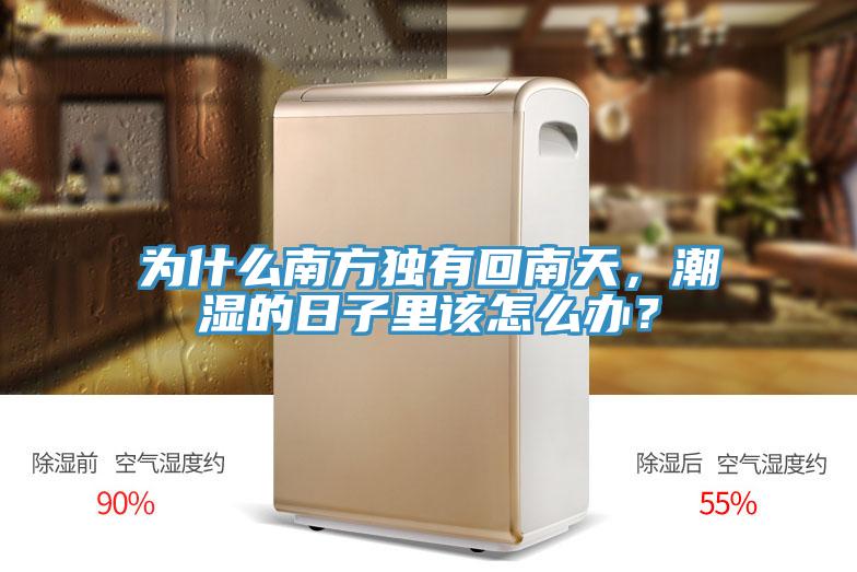 為什么南方獨(dú)有回南天，潮濕的日子里該怎么辦？