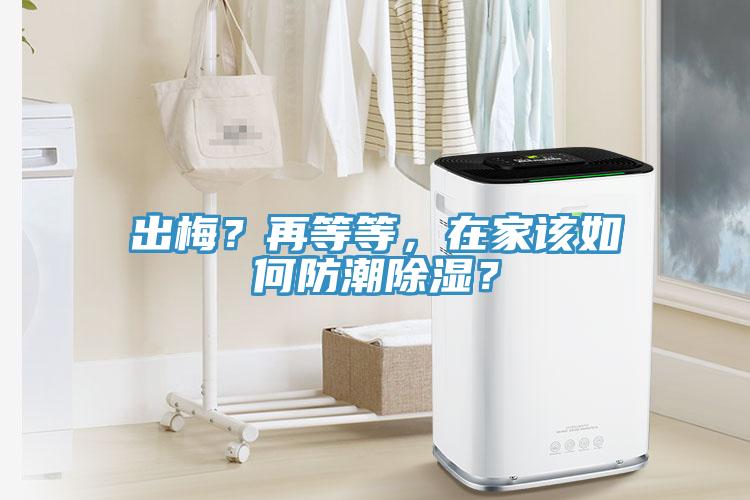 出梅？再等等，在家該如何防潮除濕？