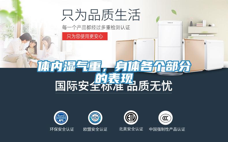 體內濕氣重，身體各個部分的表現