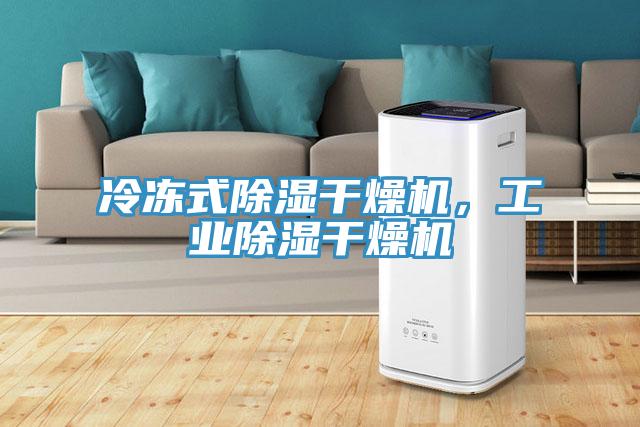 冷凍式除濕干燥機，工業(yè)除濕干燥機