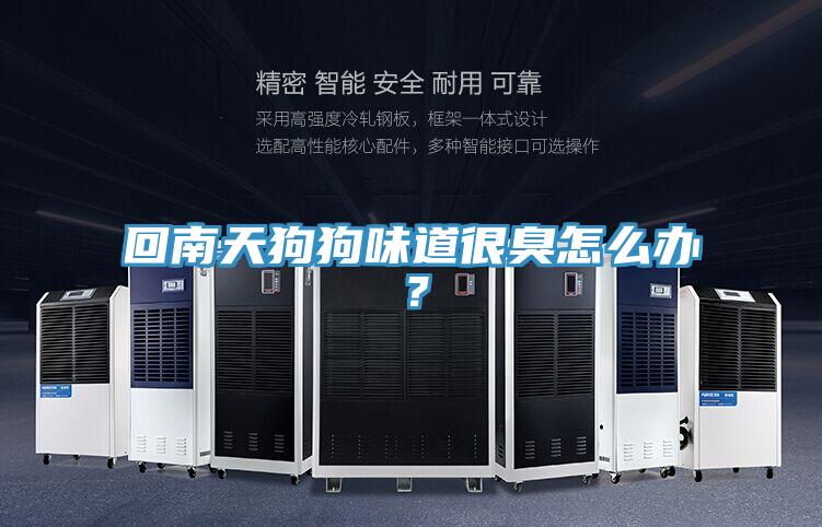 回南天狗狗味道很臭怎么辦？