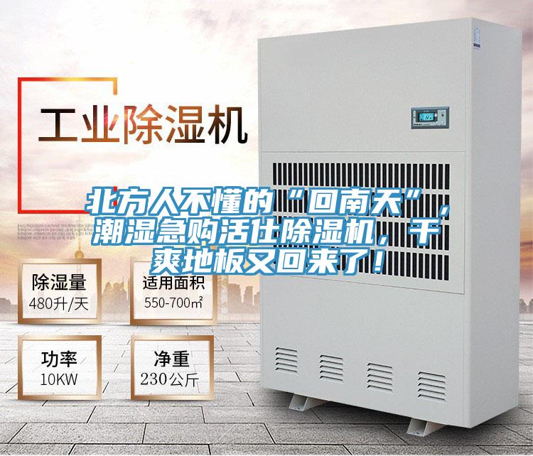 北方人不懂的“回南天”，潮濕急購活仕除濕機(jī)，干爽地板又回來了！