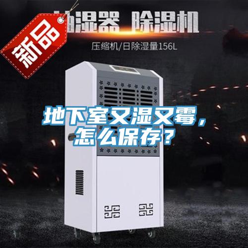 地下室又濕又霉，怎么保存？