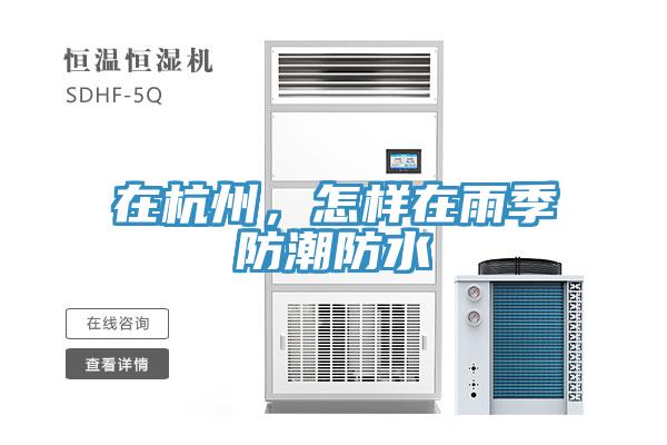 在杭州，怎樣在雨季防潮防水