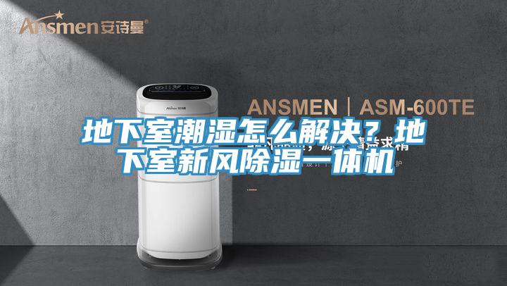 地下室潮濕怎么解決？地下室新風(fēng)除濕一體機(jī)