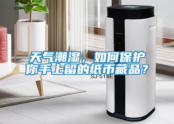 天氣潮濕，如何保護(hù)你手上留的紙幣藏品？