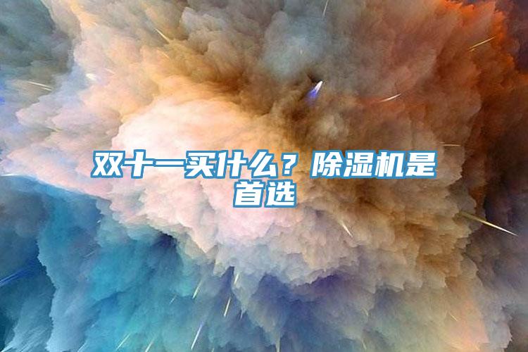 雙十一買什么？除濕機是首選