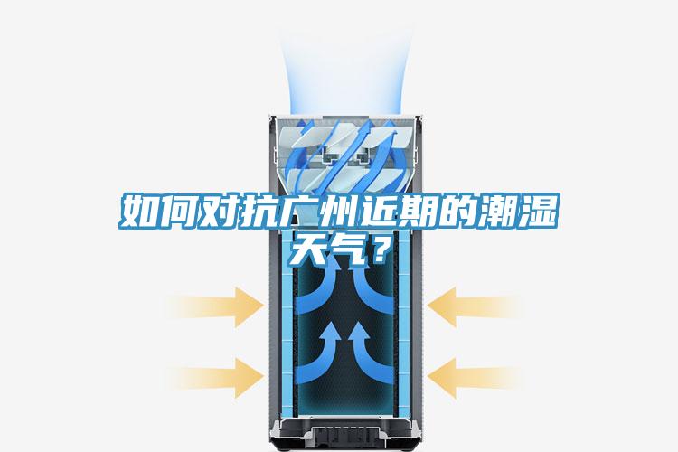 如何對(duì)抗廣州近期的潮濕天氣？