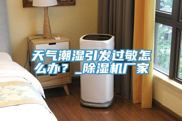 天氣潮濕引發(fā)過(guò)敏怎么辦？_除濕機(jī)廠家