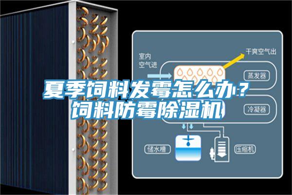 夏季飼料發(fā)霉怎么辦？飼料防霉除濕機(jī)