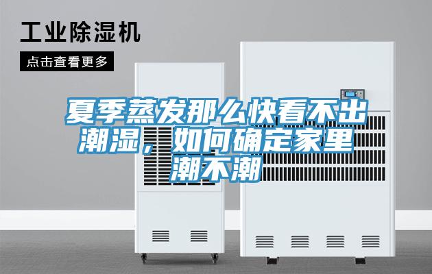夏季蒸發(fā)那么快看不出潮濕，如何確定家里潮不潮