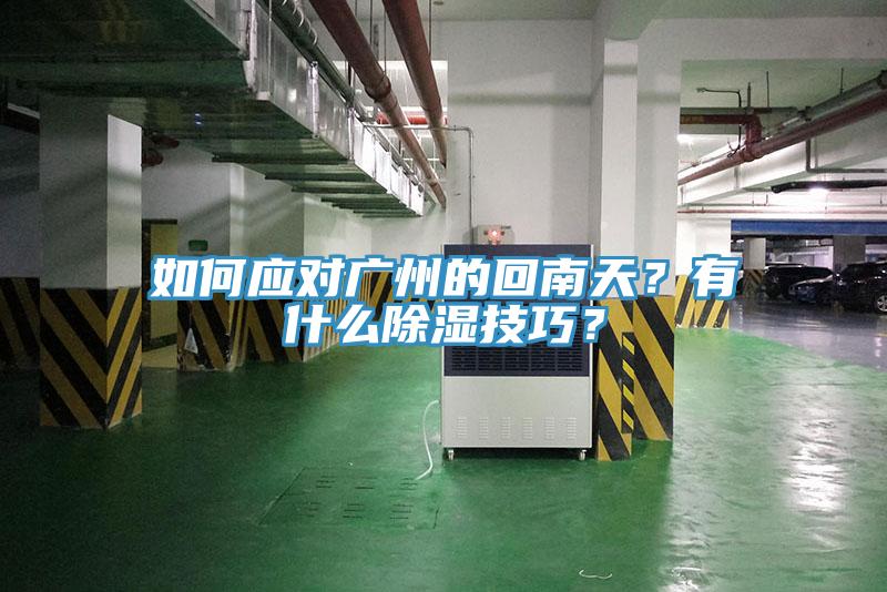 如何應(yīng)對(duì)廣州的回南天？有什么除濕技巧？
