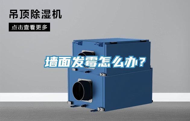 墻面發(fā)霉怎么辦？