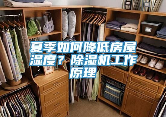 夏季如何降低房屋濕度？除濕機工作原理
