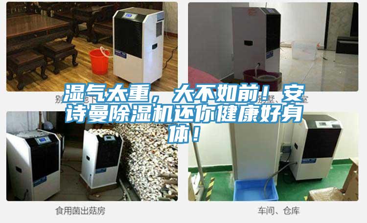 濕氣太重，大不如前！安詩曼除濕機還你健康好身體！