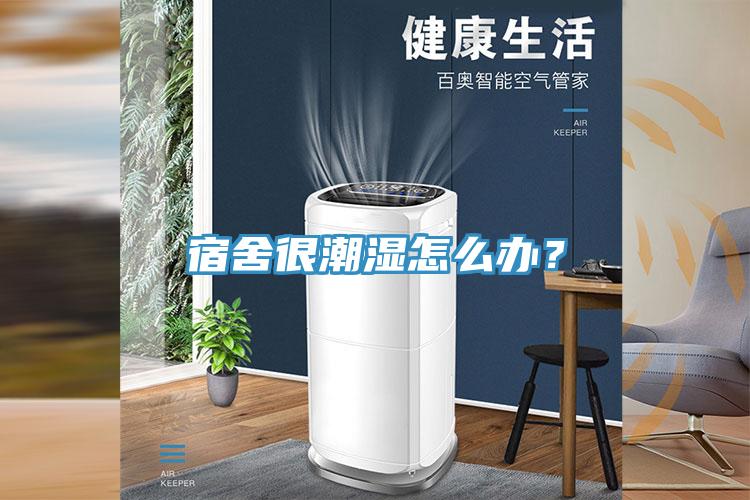 宿舍很潮濕怎么辦？