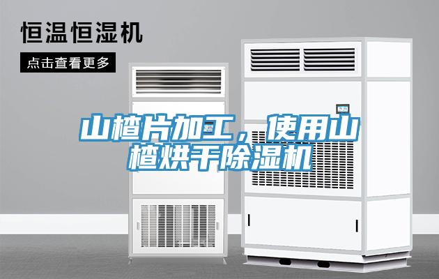 山楂片加工，使用山楂烘干除濕機(jī)