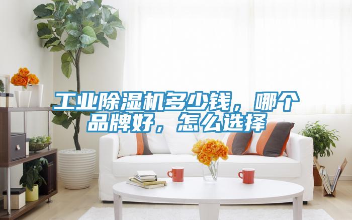 工業(yè)除濕機(jī)多少錢，哪個品牌好，怎么選擇