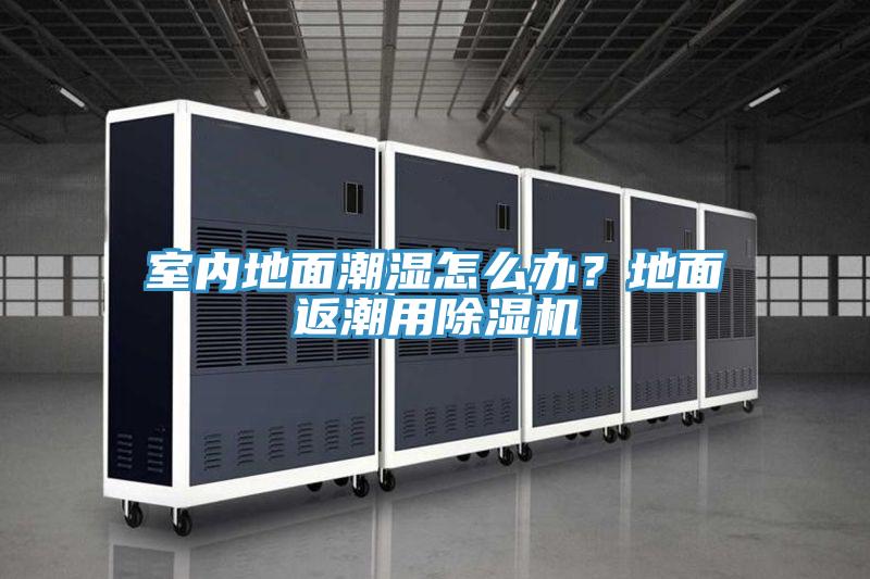 室內(nèi)地面潮濕怎么辦？地面返潮用除濕機(jī)