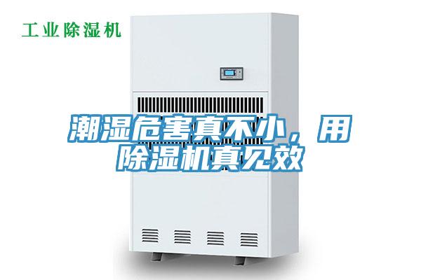 潮濕危害真不小，用除濕機(jī)真見效