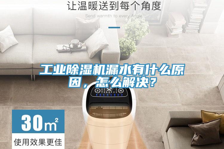 工業(yè)除濕機(jī)漏水有什么原因，怎么解決？