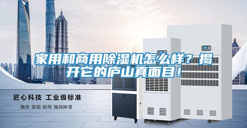 家用和商用除濕機(jī)怎么樣？揭開它的廬山真面目！