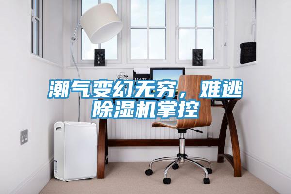 潮氣變幻無窮，難逃除濕機掌控