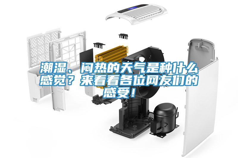 潮濕、悶熱的天氣是種什么感覺？來看看各位網友們的感受！