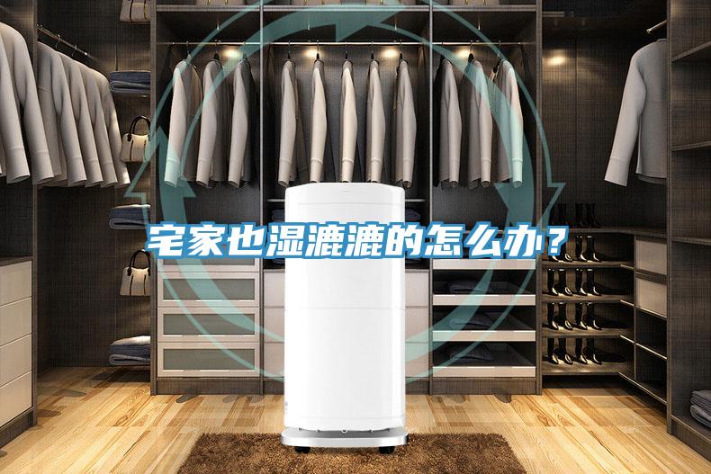 宅家也濕漉漉的怎么辦？
