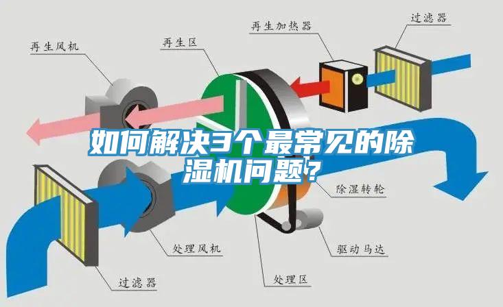 如何解決3個最常見的除濕機問題？